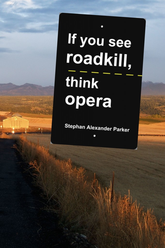 cover of if you see roadkill, think opera