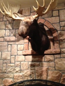 Photo of moose head, in the fabulous Wort Hotel in Jackson, Wyoming