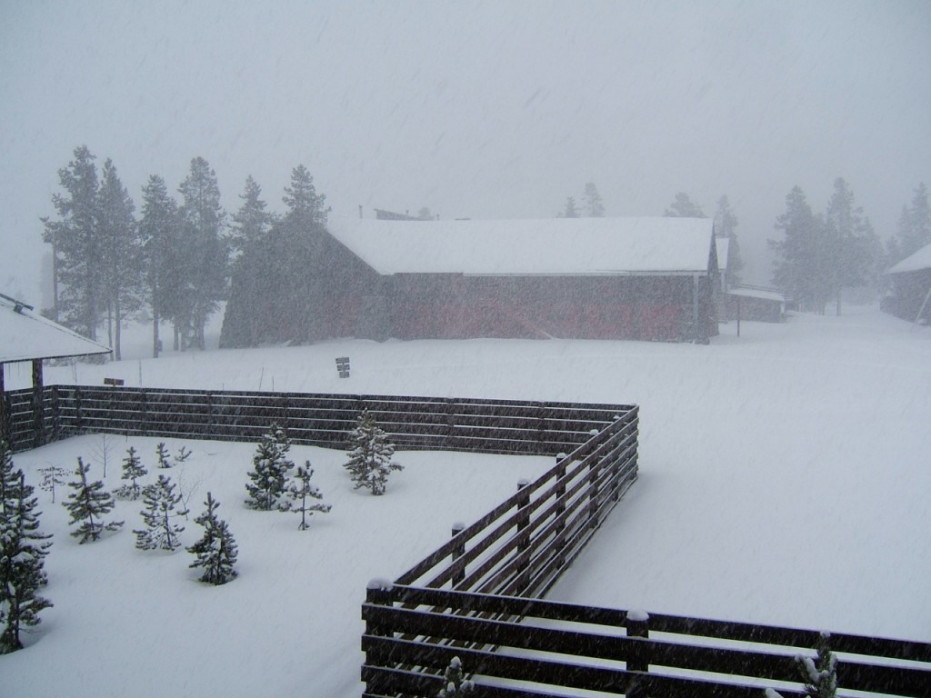 Photo of a zig-zag fence in front of a red barn-like building in a snowy landscape in Yellowstone National Park