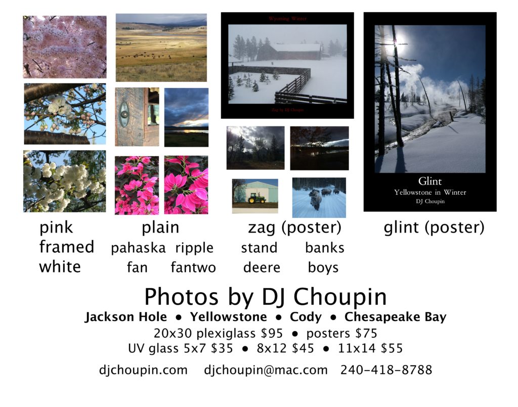 Thumbnail photos of DJ Choupin's photos are shown with their titles and prices