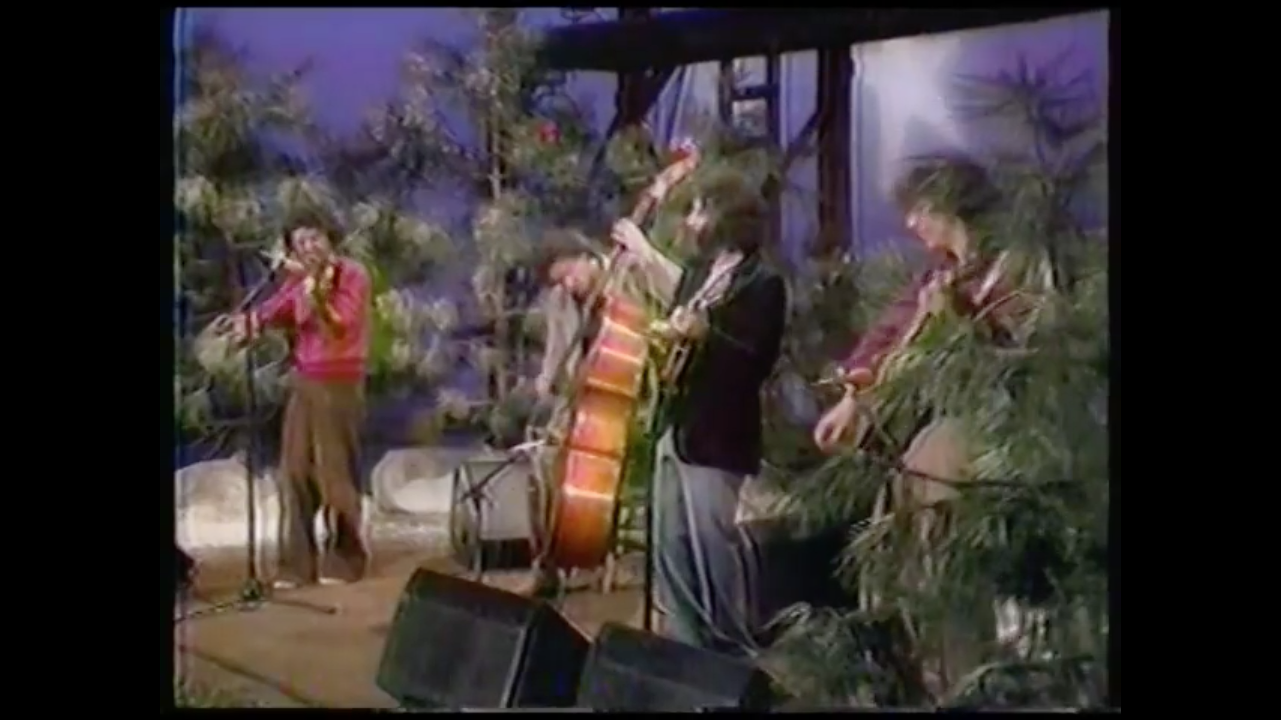 Photo of the David Grisman Quartet performing in a TV studio on The Friday Club in Evanston, Illinois, in 1981.